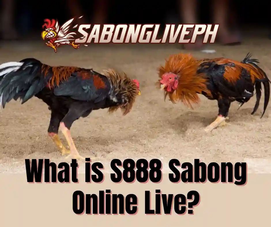 S888 sabong online live